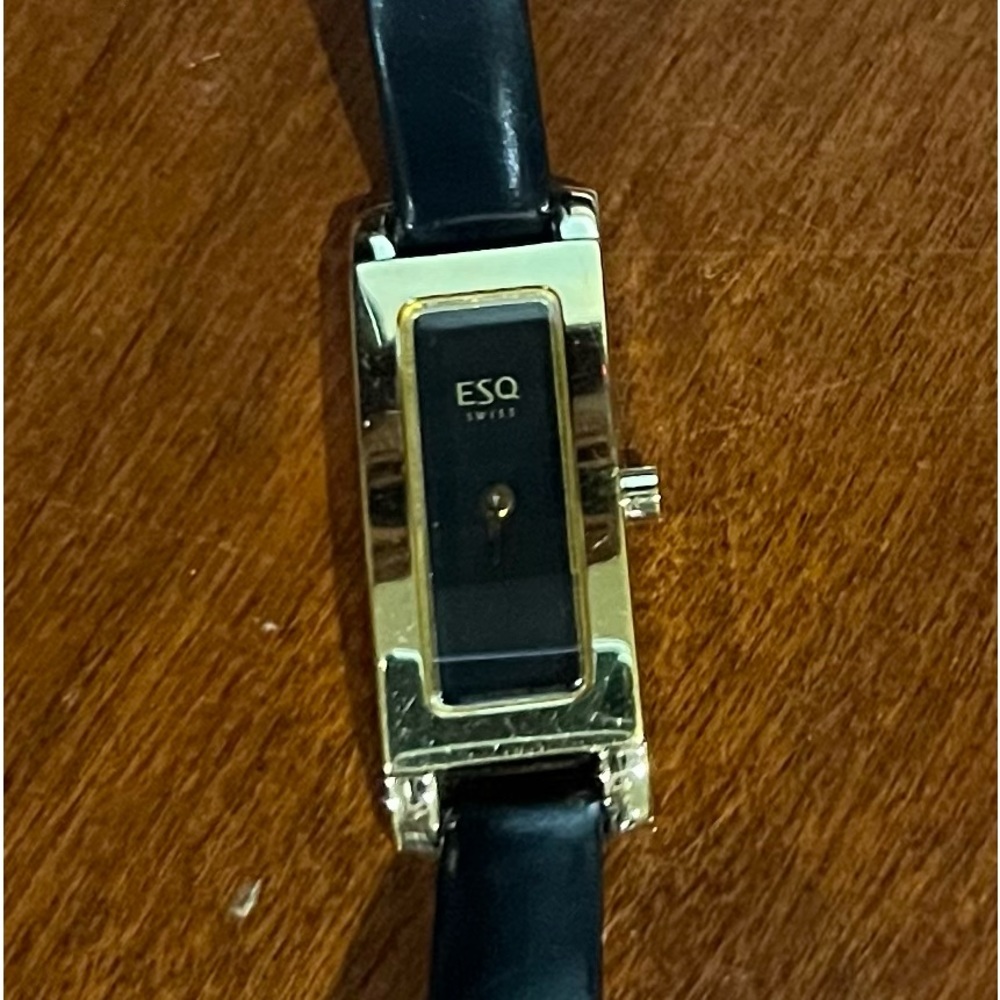 ESQ Swiss Watch